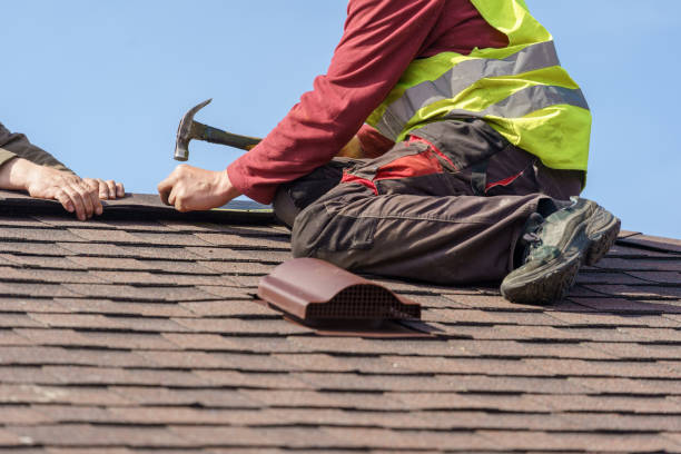 Best Roof Gutter Cleaning  in Long Beach, WA